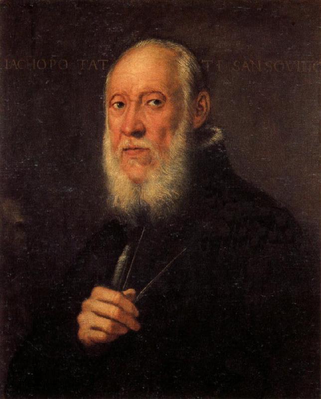 Jacopo Tintoretto Portrait of Jacopo Sansovino France oil painting art